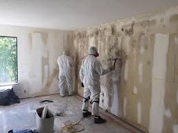 Best Industrial Mold Remediation  in Stacy, MN